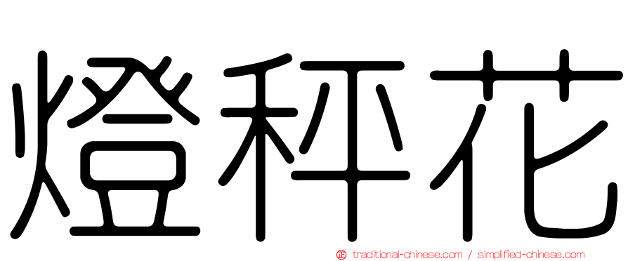 燈秤花