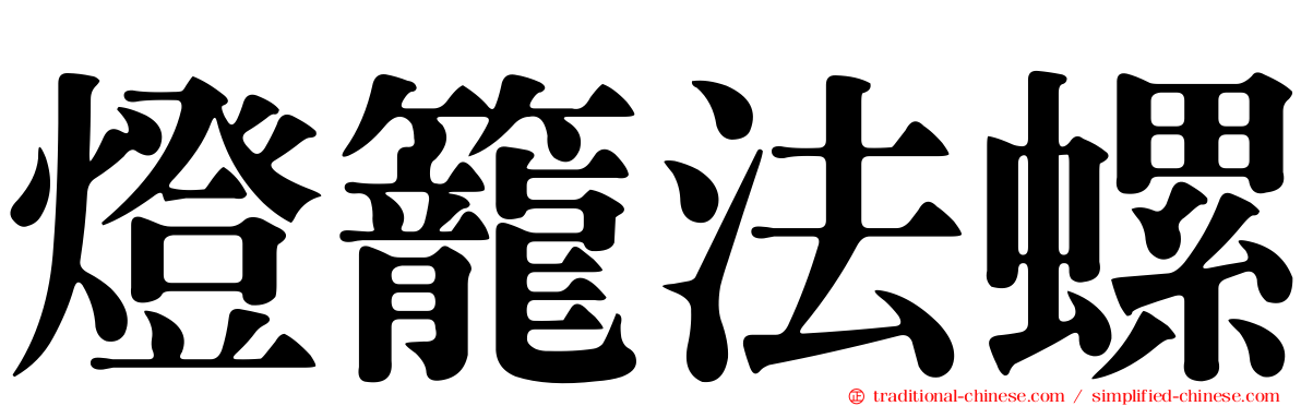 燈籠法螺