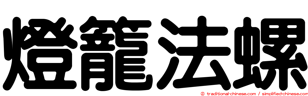 燈籠法螺