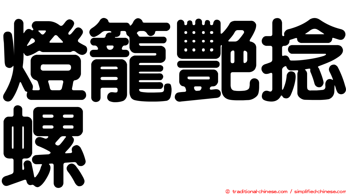 燈籠艷捻螺