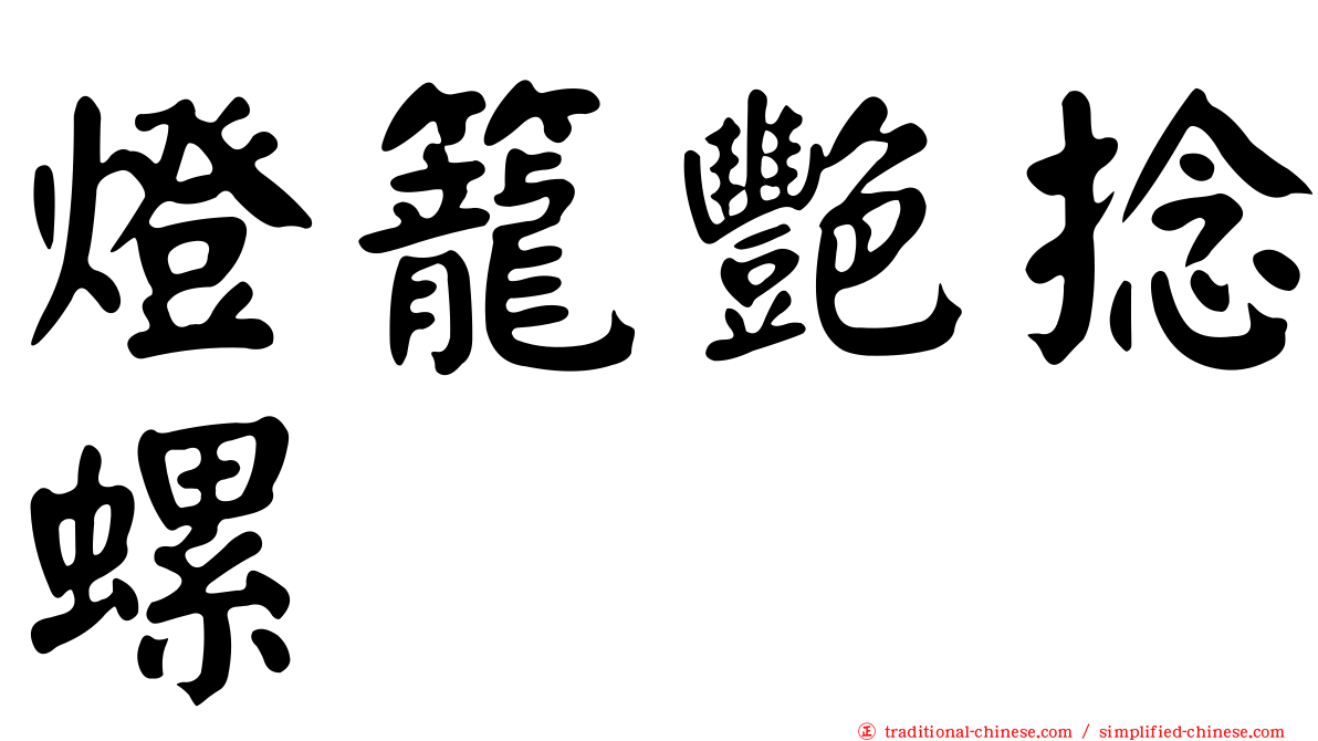 燈籠艷捻螺