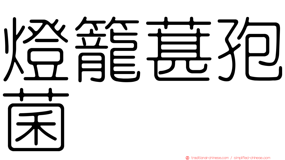 燈籠葚孢菌