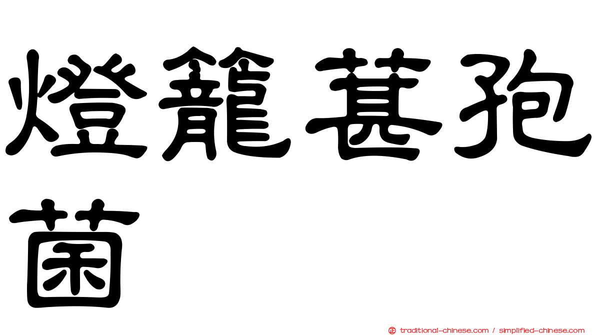 燈籠葚孢菌