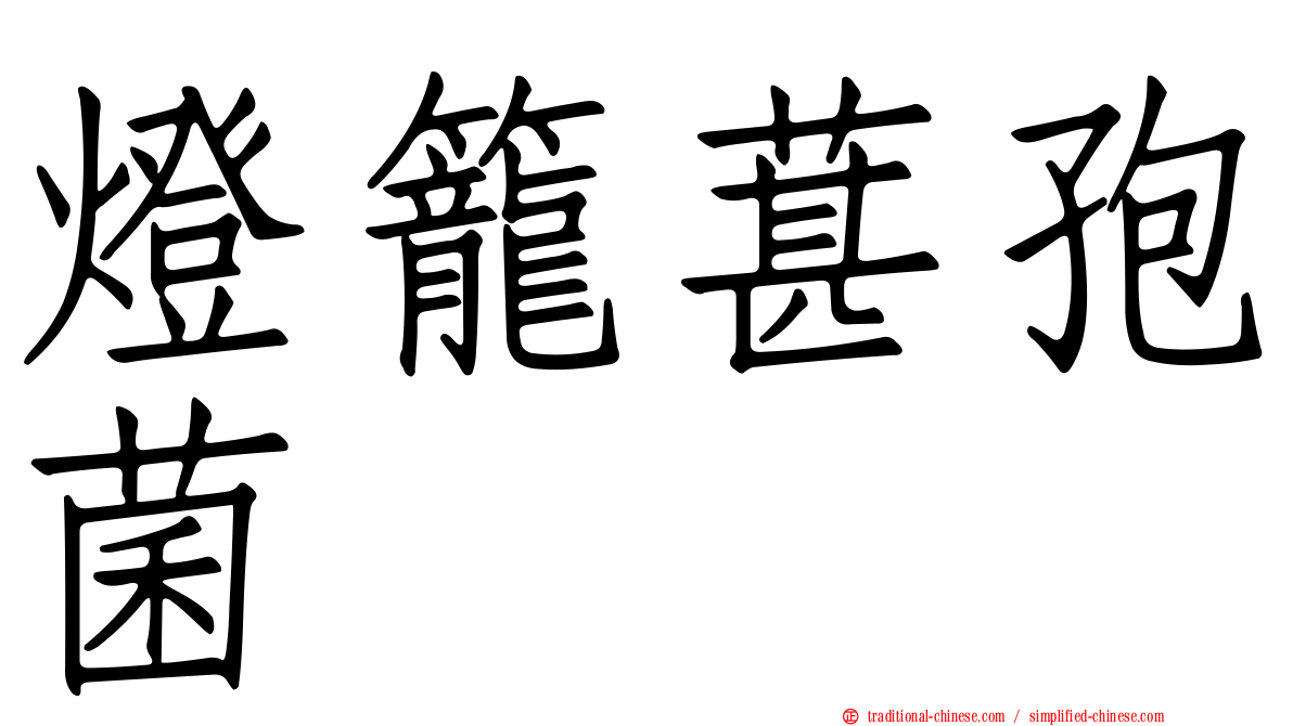 燈籠葚孢菌