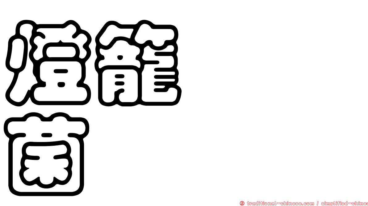 燈籠葚孢菌
