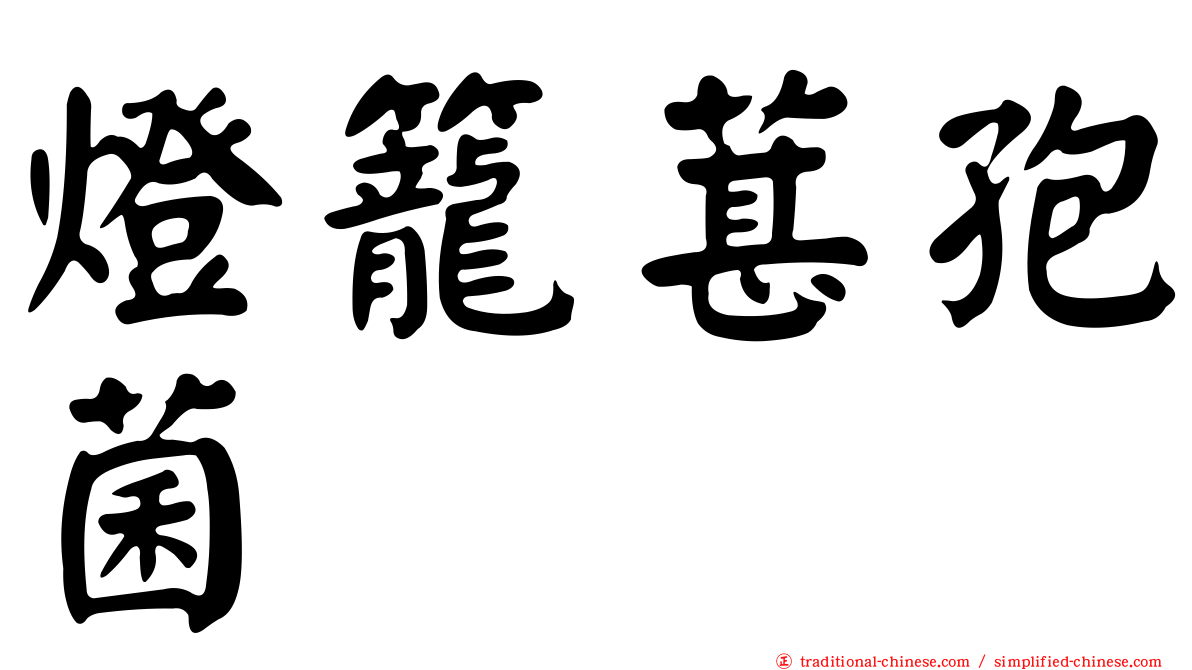 燈籠葚孢菌