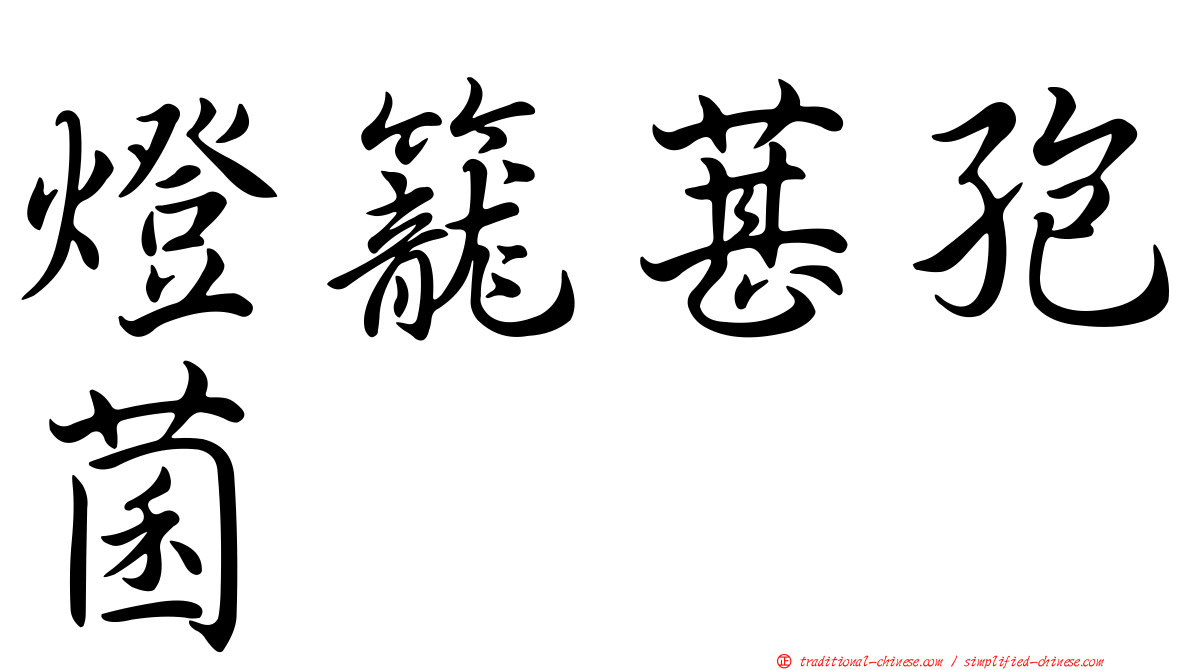 燈籠葚孢菌