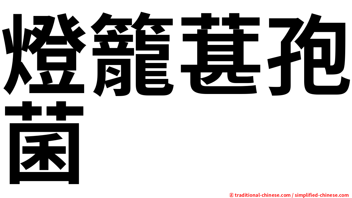 燈籠葚孢菌