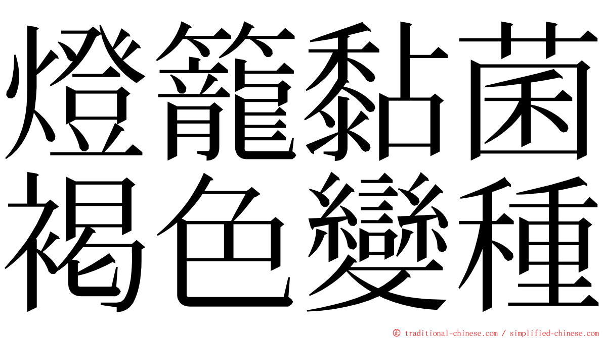 燈籠黏菌褐色變種 ming font