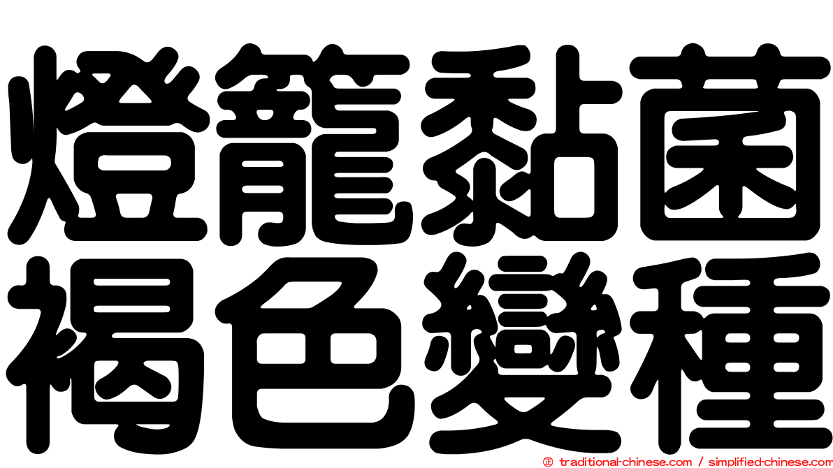 燈籠黏菌褐色變種