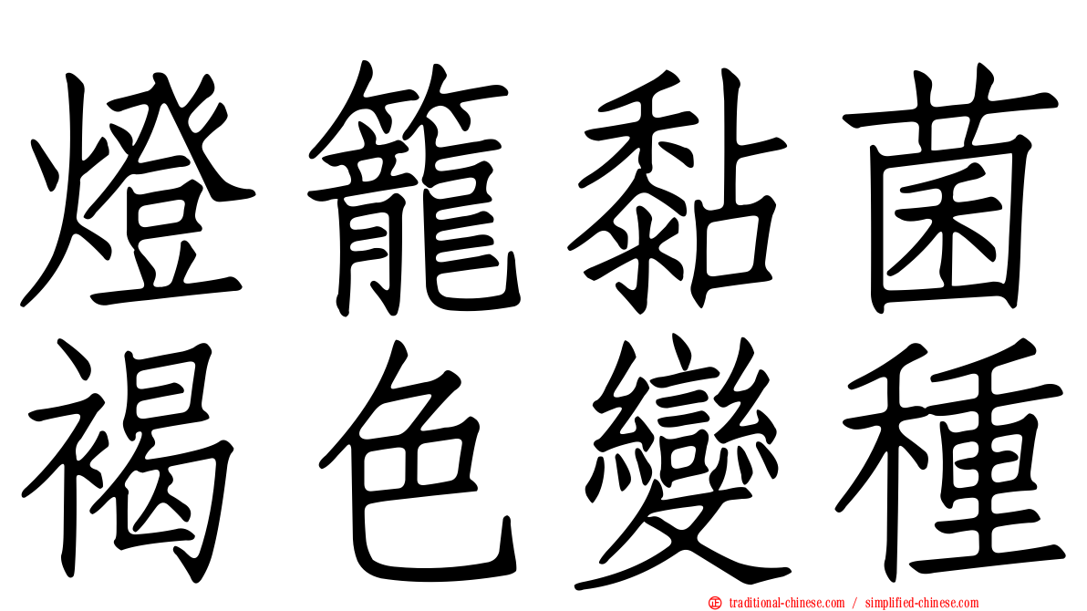 燈籠黏菌褐色變種