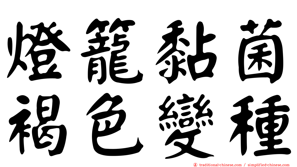 燈籠黏菌褐色變種