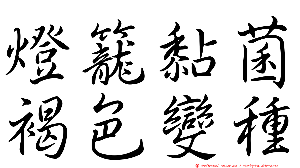 燈籠黏菌褐色變種