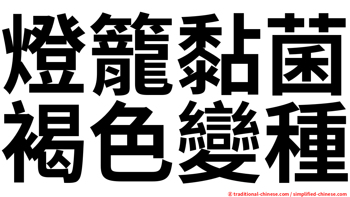 燈籠黏菌褐色變種