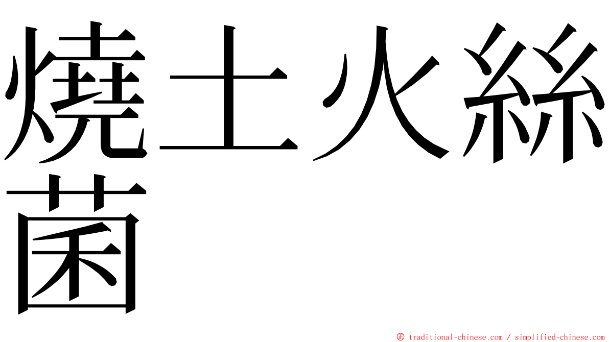 燒土火絲菌 ming font