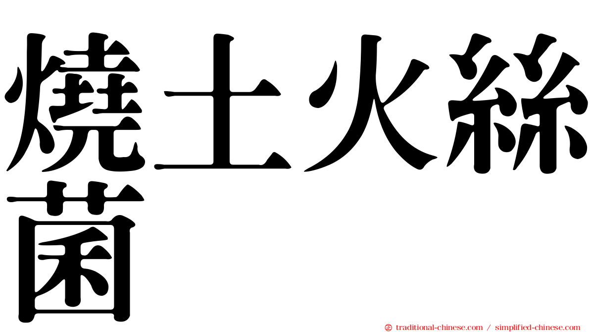 燒土火絲菌
