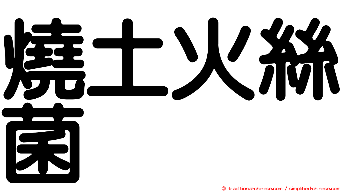 燒土火絲菌
