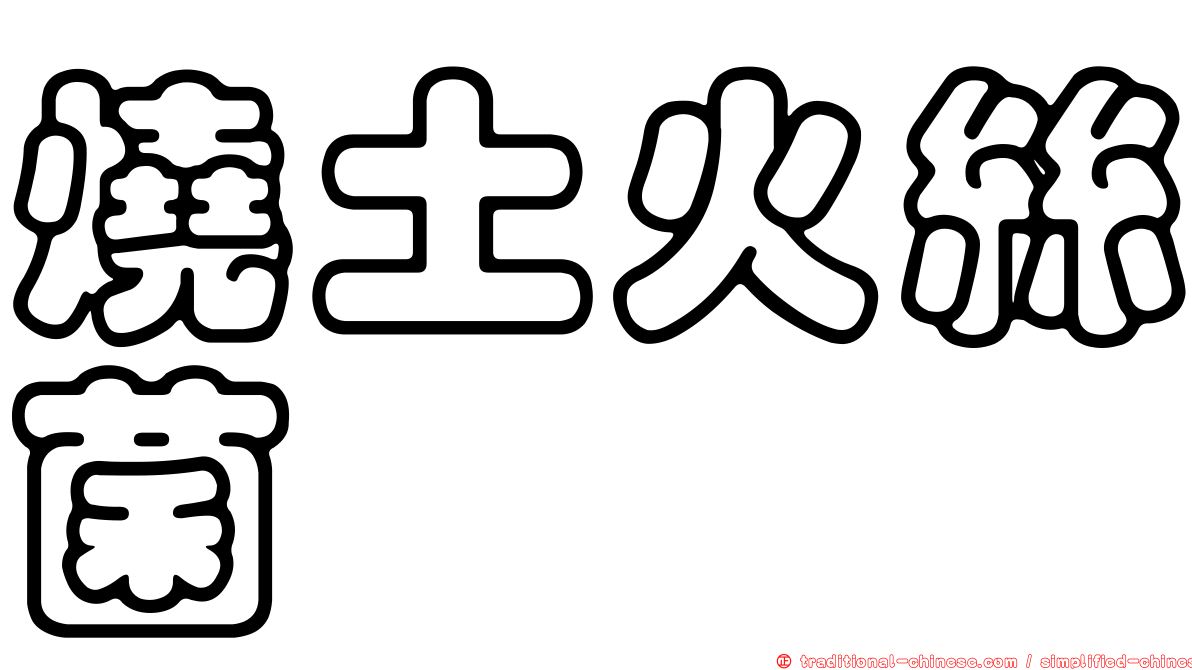 燒土火絲菌