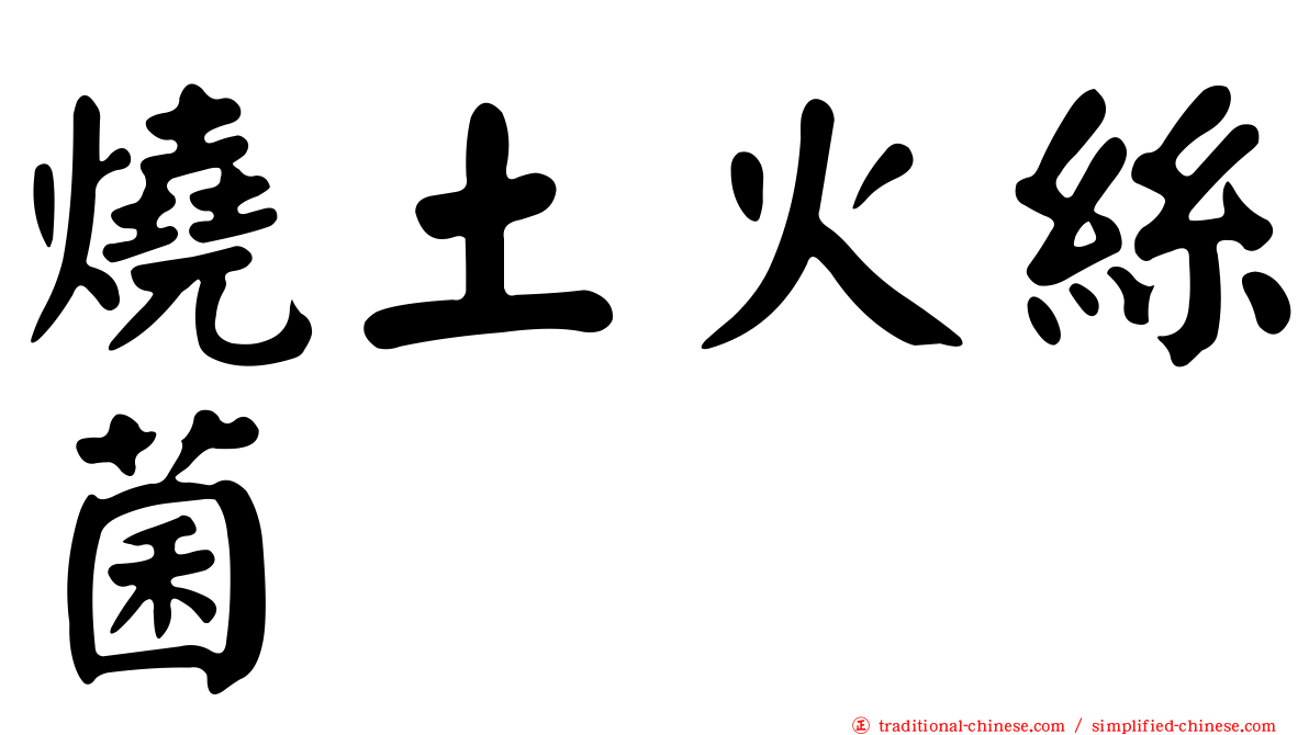 燒土火絲菌