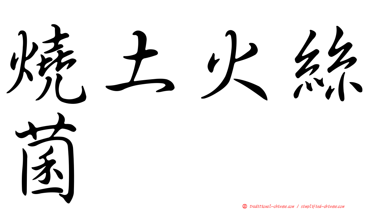 燒土火絲菌