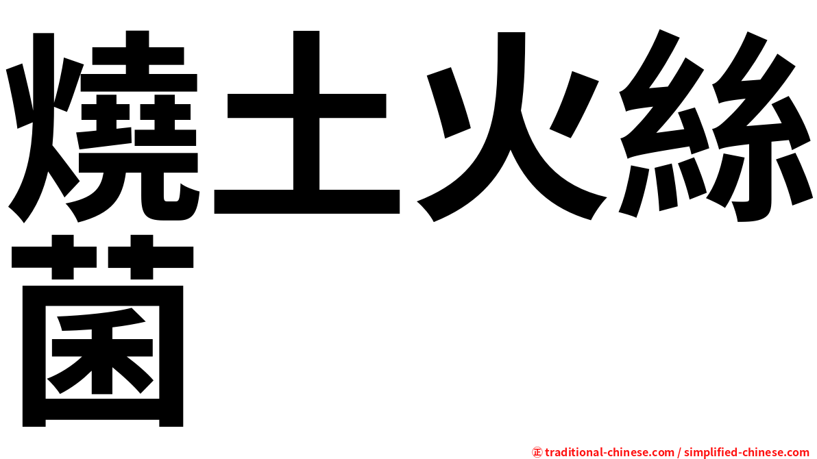 燒土火絲菌
