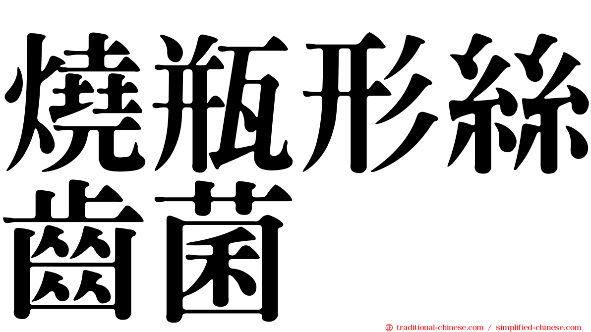 燒瓶形絲齒菌