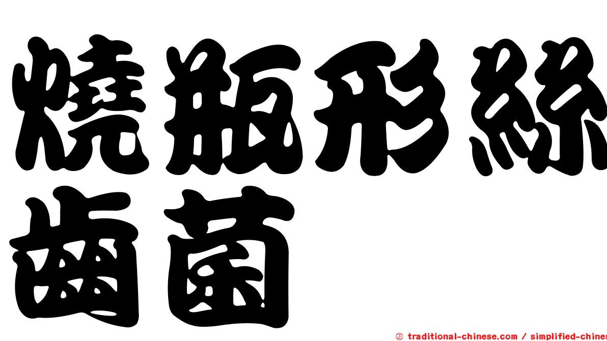 燒瓶形絲齒菌
