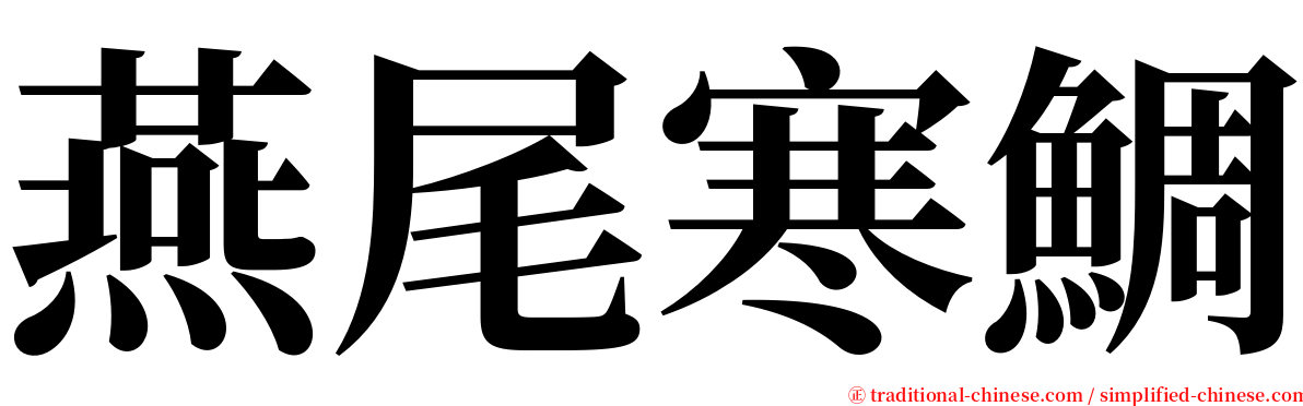 燕尾寒鯛 serif font