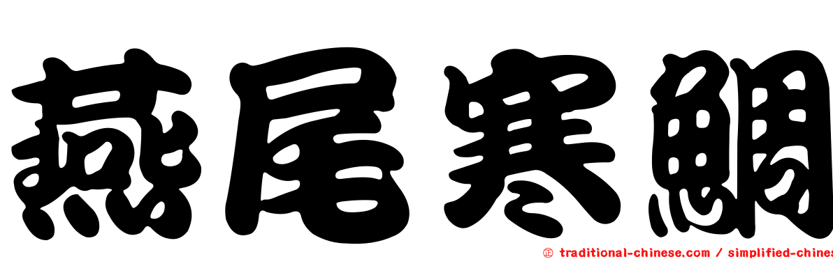 燕尾寒鯛
