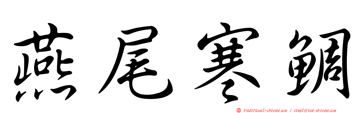燕尾寒鯛