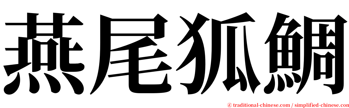 燕尾狐鯛 serif font