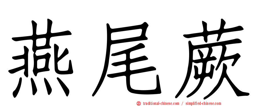 燕尾蕨