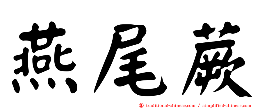 燕尾蕨