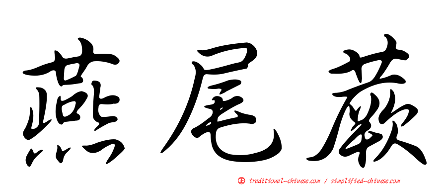 燕尾蕨