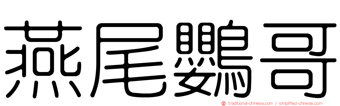 燕尾鸚哥