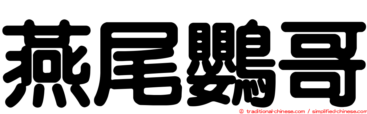 燕尾鸚哥