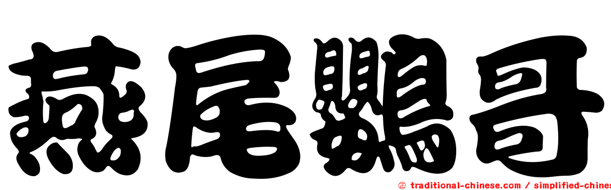燕尾鸚哥