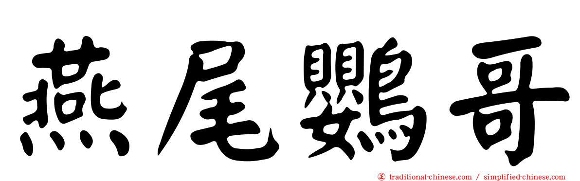燕尾鸚哥