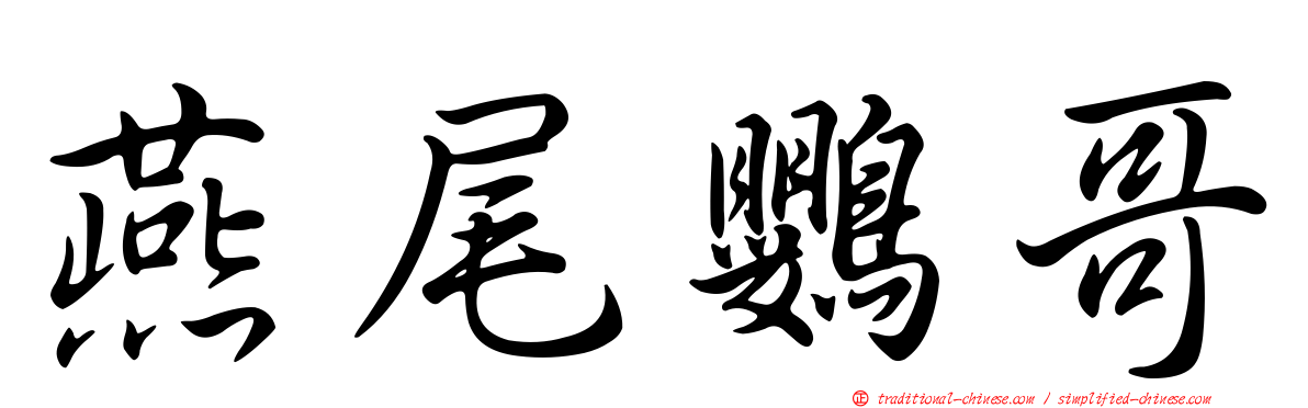 燕尾鸚哥