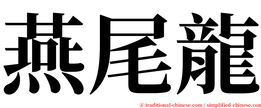 燕尾龍 serif font