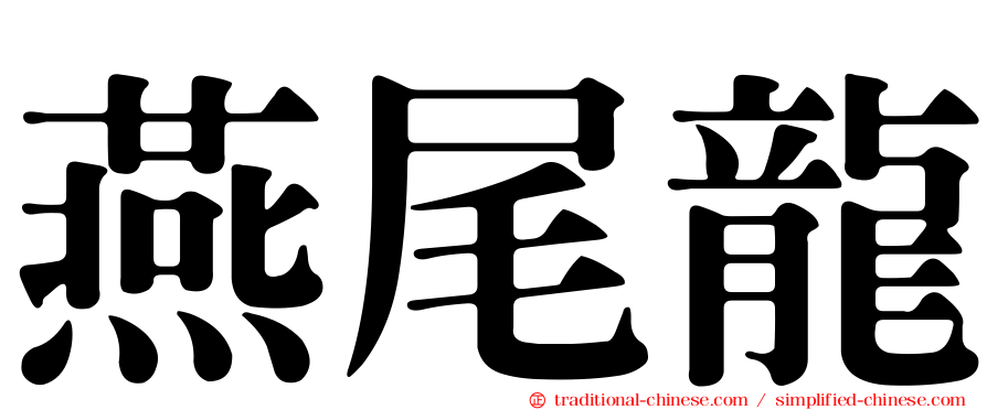 燕尾龍