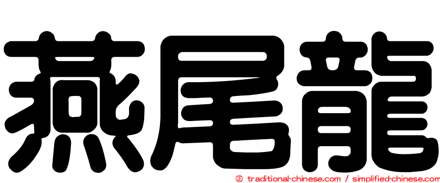 燕尾龍