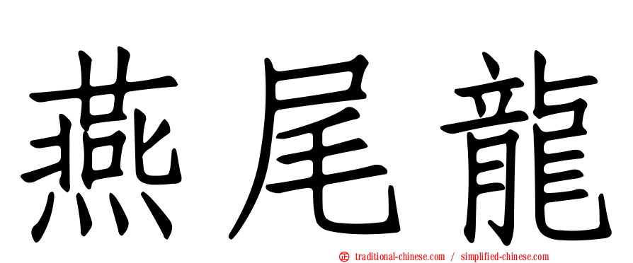 燕尾龍