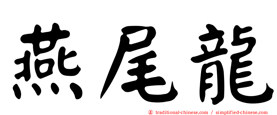 燕尾龍