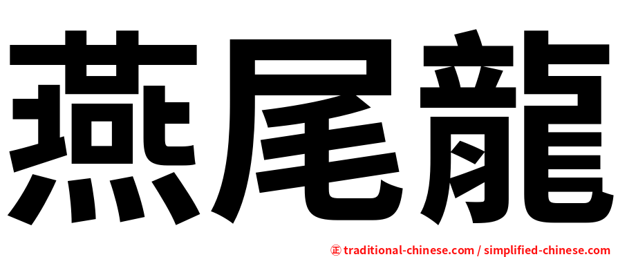 燕尾龍