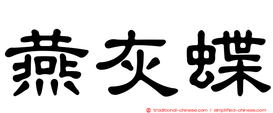 燕灰蝶