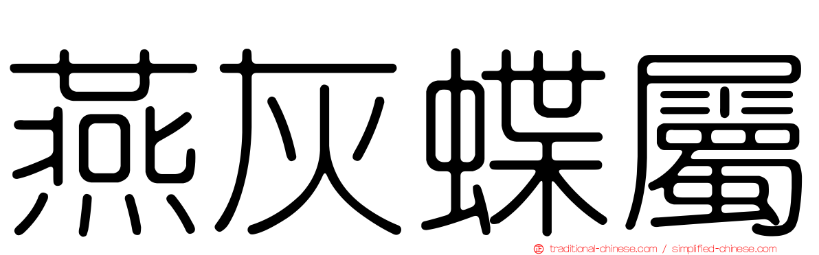 燕灰蝶屬