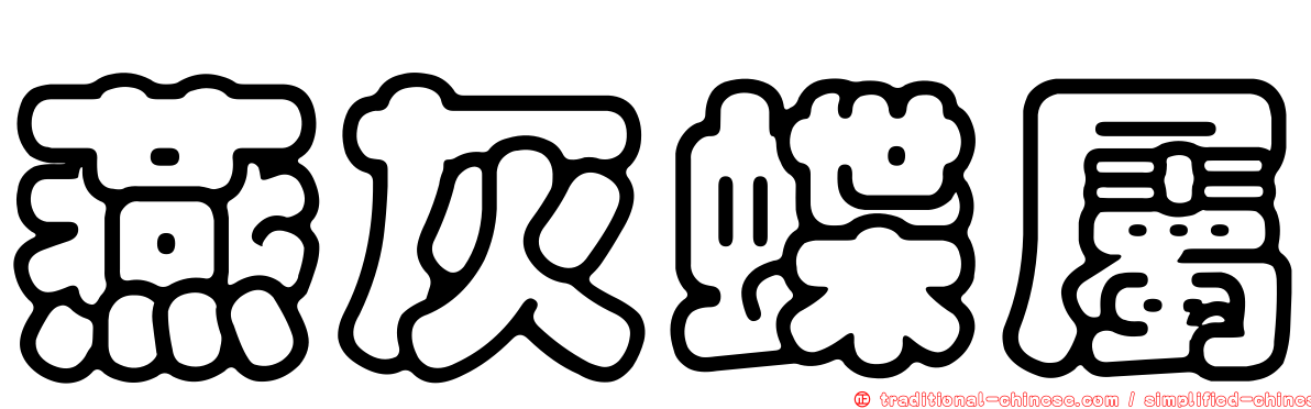 燕灰蝶屬