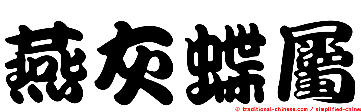 燕灰蝶屬
