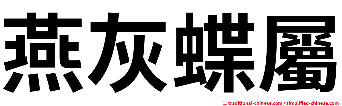 燕灰蝶屬